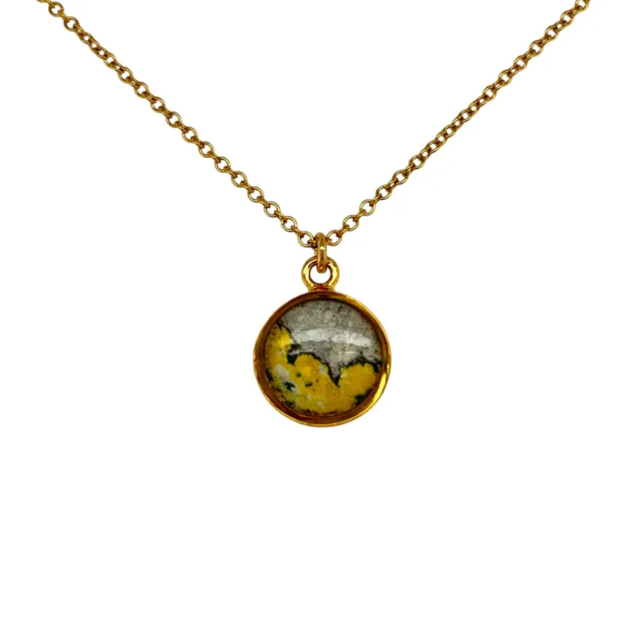 Michigan State Campus Rock Necklaces Amy Necklace Gold