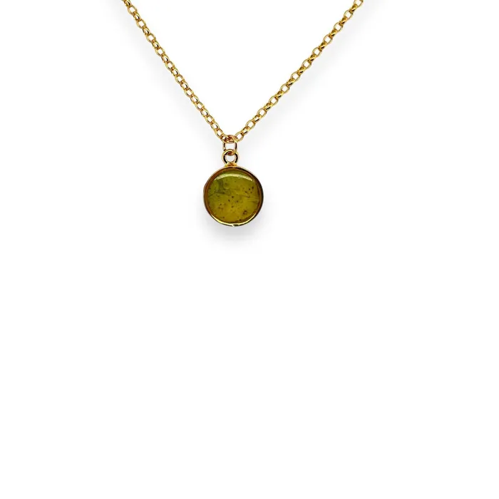 Michigan State Campus Rock Necklaces Amy Necklace Gold