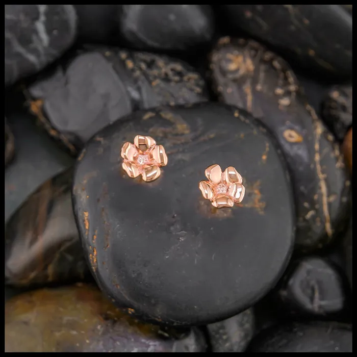 Earrings Walker Metalsmiths Bryns Blossom Post Earrings in 14K Gold
