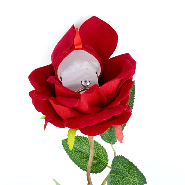 Rings Noblepack CA The Noble Rose Red Ring Box