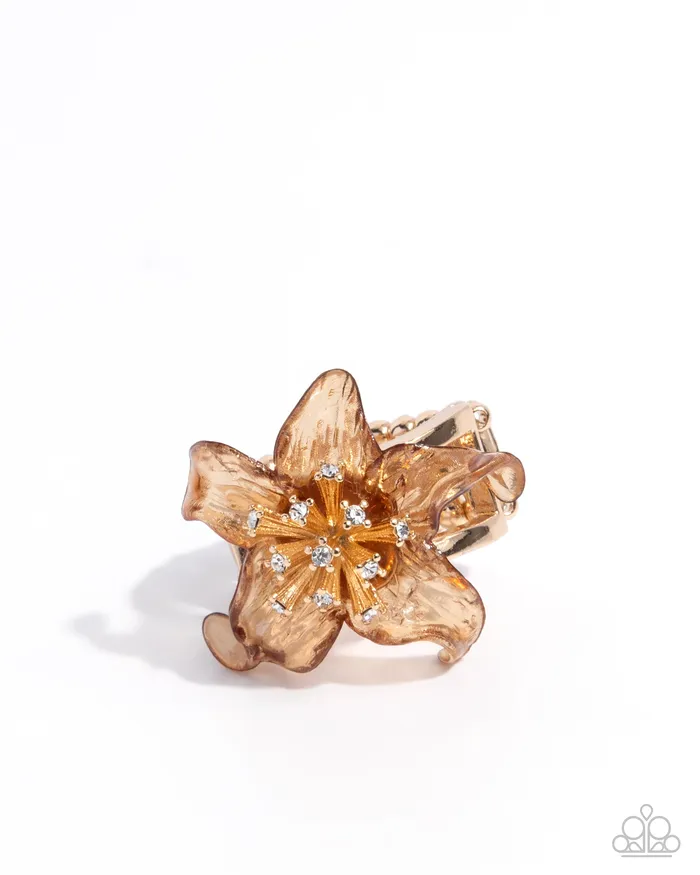 Rings Paparazzi Accessories Floral Fable Brown Clear Acrylic Flower Silver Ring Paparazzi Rings Paparazzi Accessories Floral Fable Brown Clear Acrylic Flower Silver Ring Paparazzi