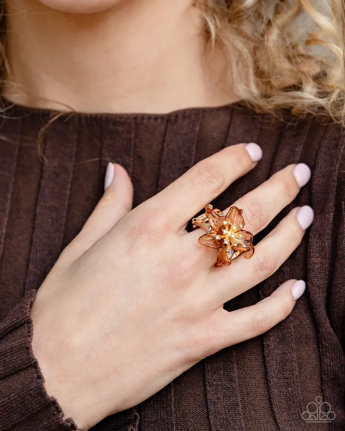 Rings Paparazzi Accessories Floral Fable Brown Clear Acrylic Flower Silver Ring Paparazzi